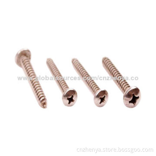 Stainless Steel Pan Head, Self-tapping ScrewNew
